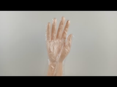 OEM het Lichtgewicht Duurzame Beschikbare Prep Voedsel van Polyethyleenhandschoenen